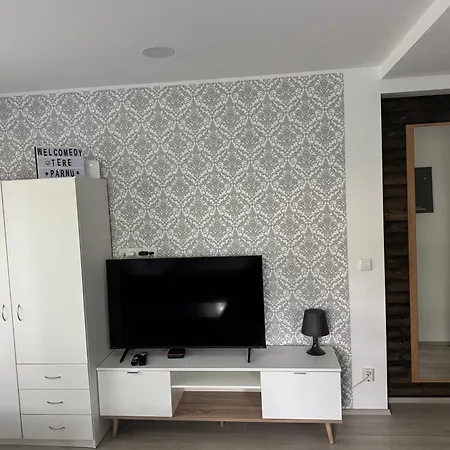 Downtown Riverside With Parking Parnu