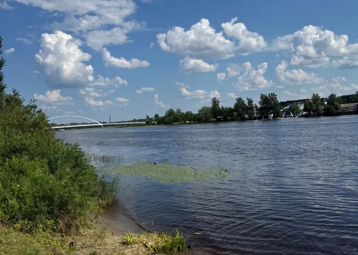 Apartment Downtown Riverside With Parking *