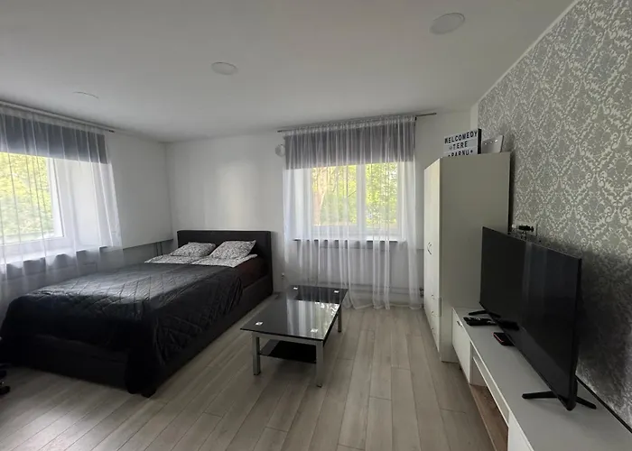 Downtown Riverside With Parking Parnu